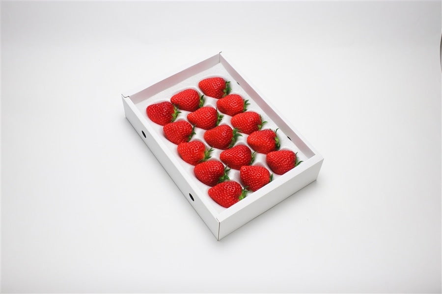 小豆島のいちご【女峰】《Premium》化粧箱 400g: さぬき旬彩館|【JA