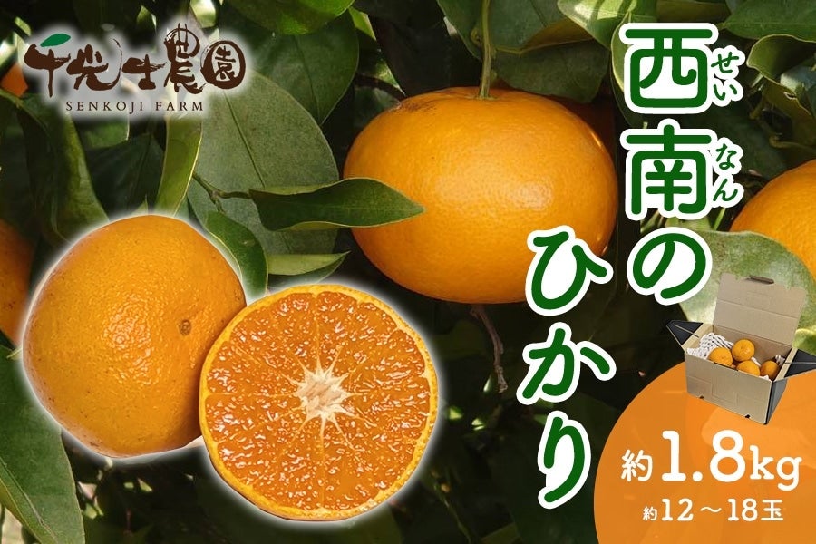 ご家庭用】千光士農園 西南のひかり: とさのさとアグリコレット|【JA