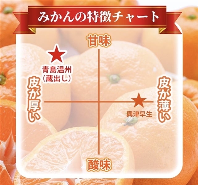 農家直送！井上農園 蔵出しみかん 5kg（大分県宇佐市産 青島温州