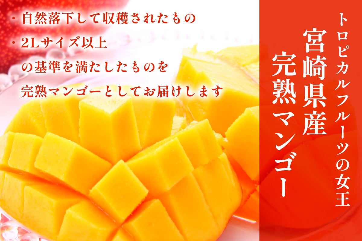 みやざき完熟マンゴー【化粧箱入】: JAみやざき Tege Mahalo|【JA