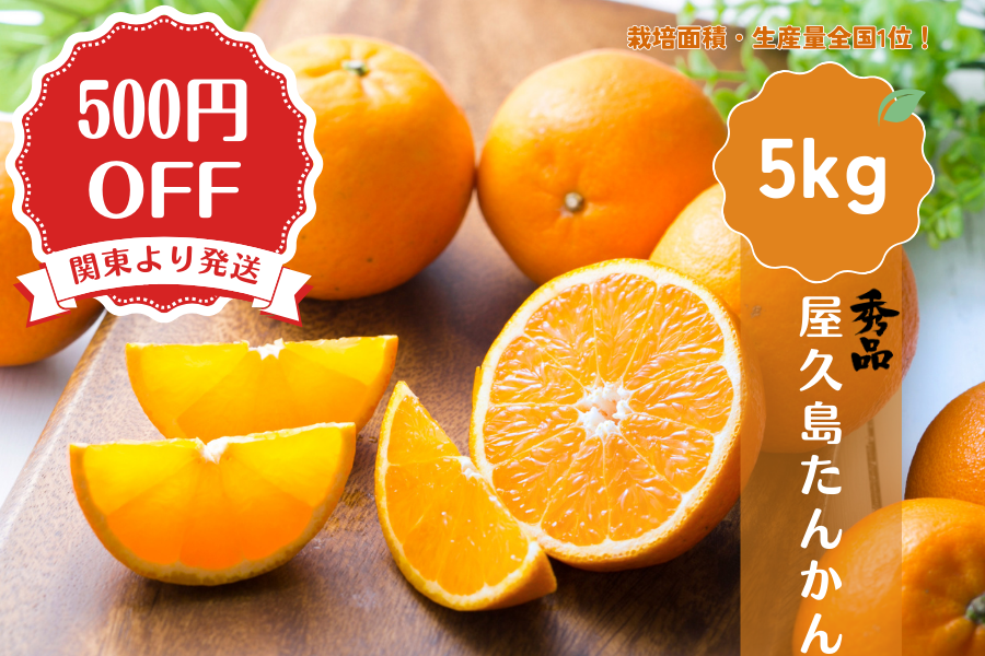 屋久島たんかん5kg【関東より発送】: JA鹿児島県経済連 鹿児島の味