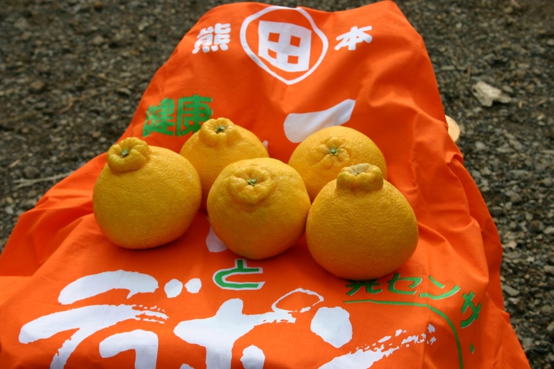 2025年分は終了しました】旬果匠（弐）【JAあしきた】: JAあしきた