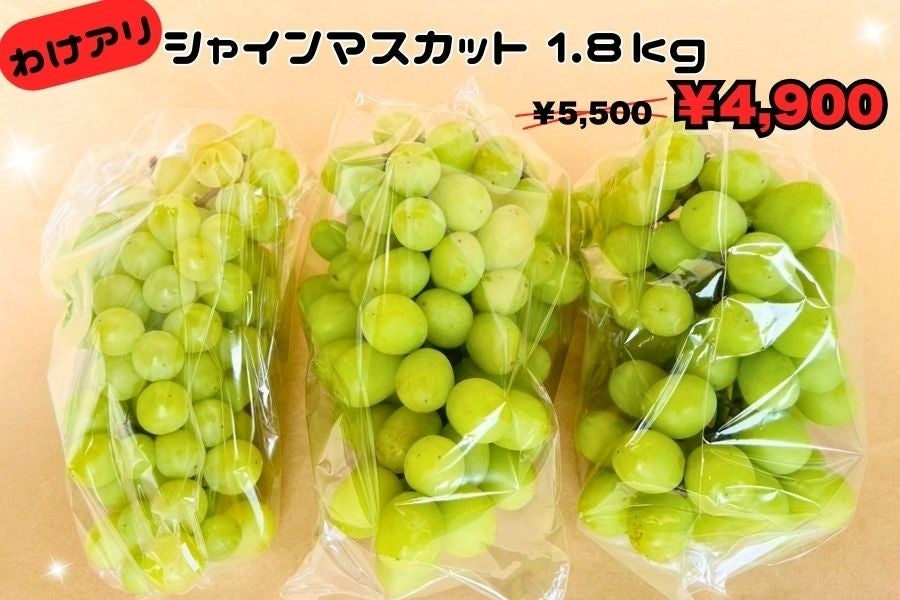 数量限定】訳あり！サイズ不揃い！河北さんの「シャインマスカット