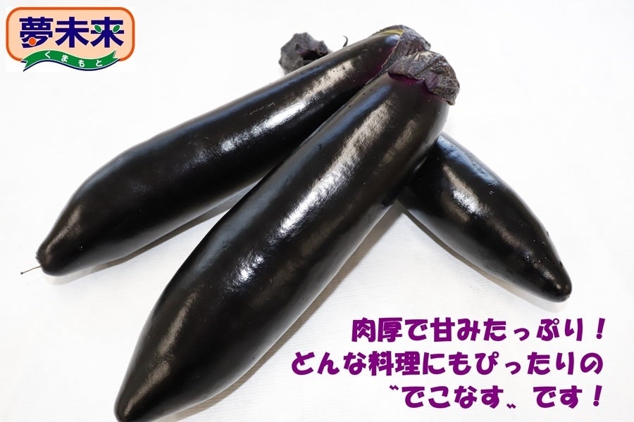 肥後のでこなす: JA熊本市オンラインショップ|【JAタウン】産地直送