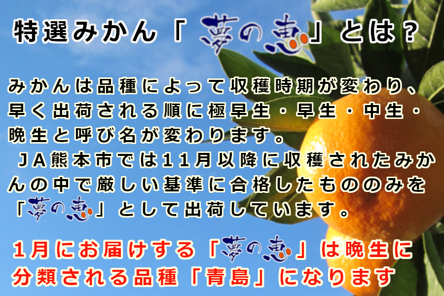 特選みかん「夢の恵」品種：青島みかん（Lサイズ・4㎏入）: JA熊本市