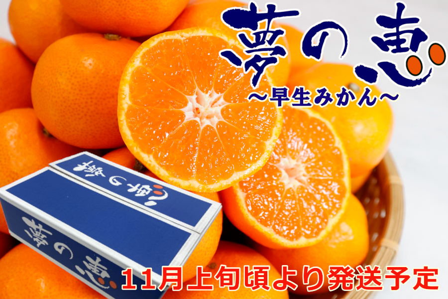 特選みかん「夢の恵」品種：早生みかん（Sサイズ4㎏入）: JA熊本市