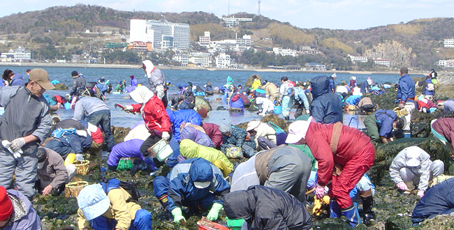 潮干狩り／三河湾国定公園 吉良宮崎海岸 吉良温泉 観光スポットのご案内