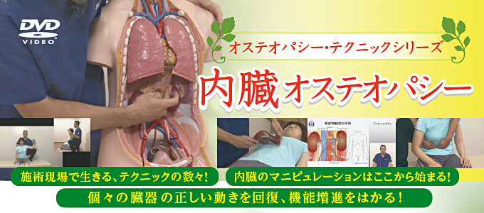 オステオパシー ・ テクニックシリーズ ～内臓オステオパシー【全2巻