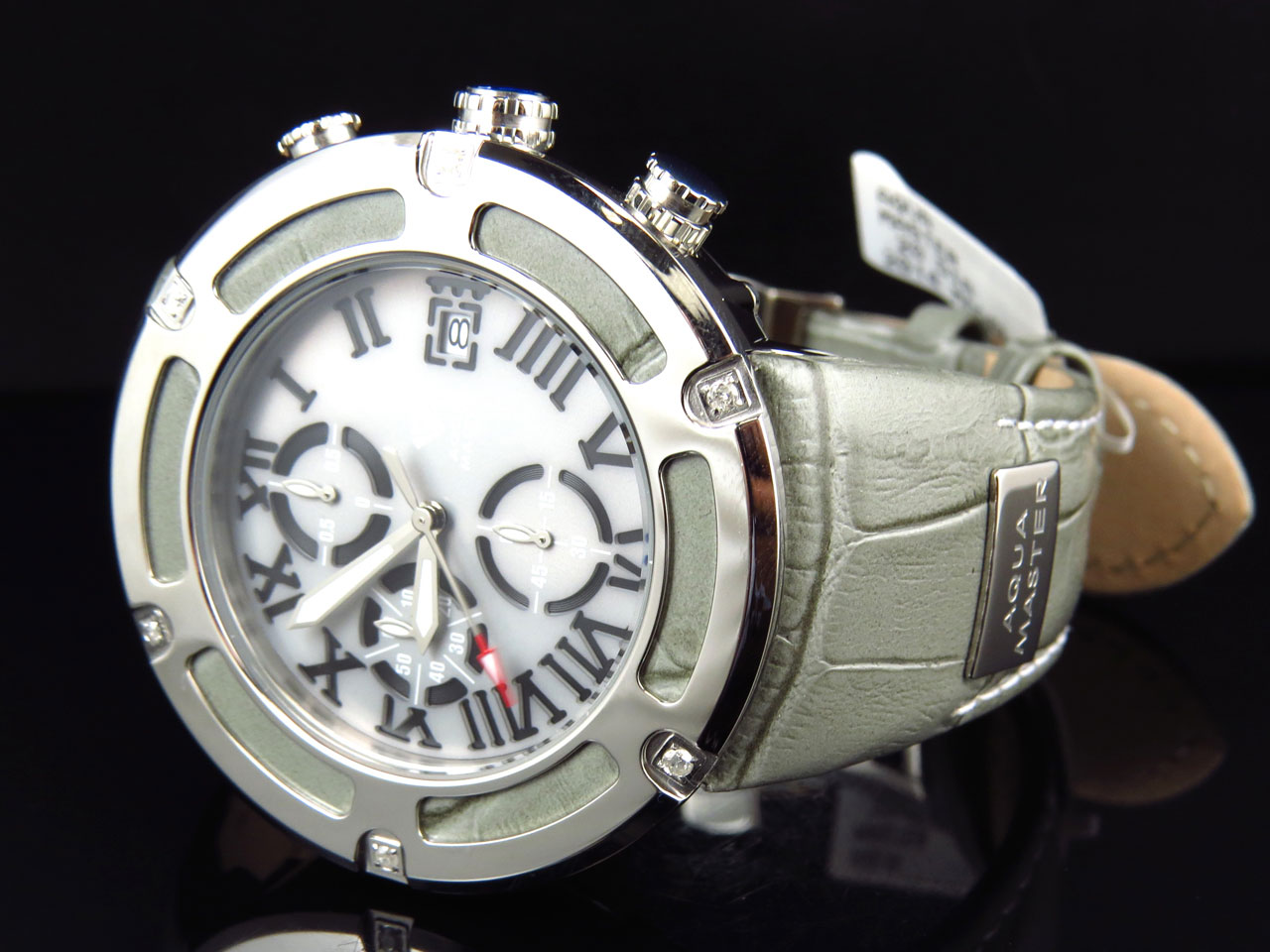 Mens Aqua Master El Russo W#346 Grey Stainless Steel Genuine