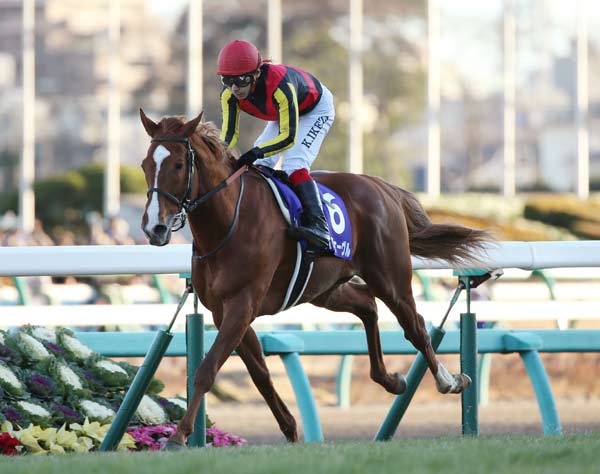◎引退レースの有馬記念で圧勝 中央競馬…：奇跡の馬 オルフェーヴル
