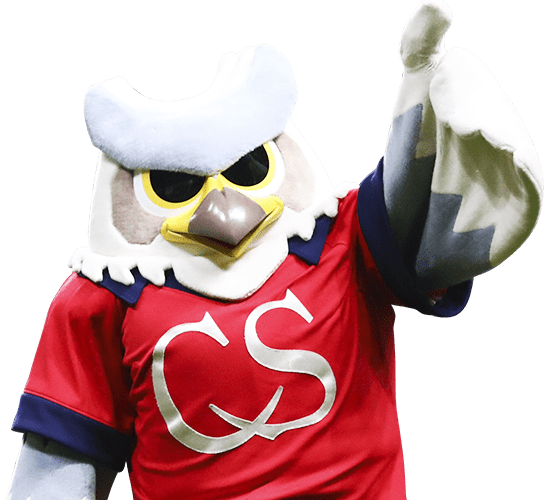 公式】北海道コンサドーレ札幌 ドーレくんプロフィール：Jリーグ