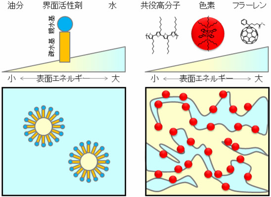 せっけんに学ぶ高分子太陽電池高効率化の原理の解明－新概念の「色素増