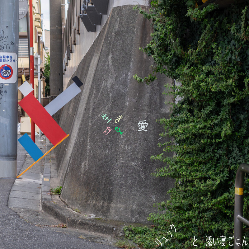 エヴァ・ポブウォツカ（ピアノ） ＊POBL／OCKA | ショパン：ワルツ全集