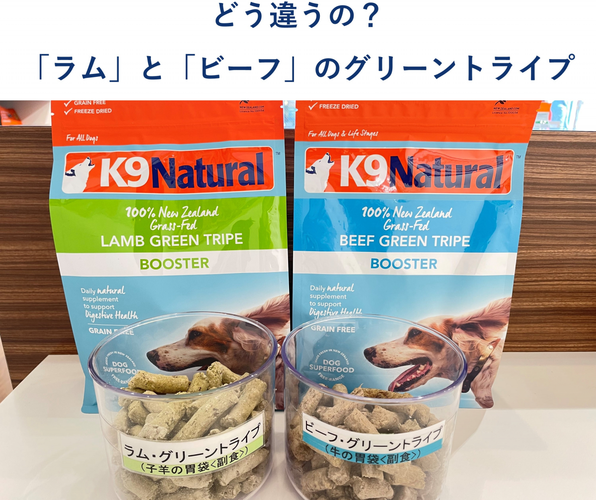 どう違うの？「ラム」と「ビーフ」のグリーントライプ/獣医師が伝える