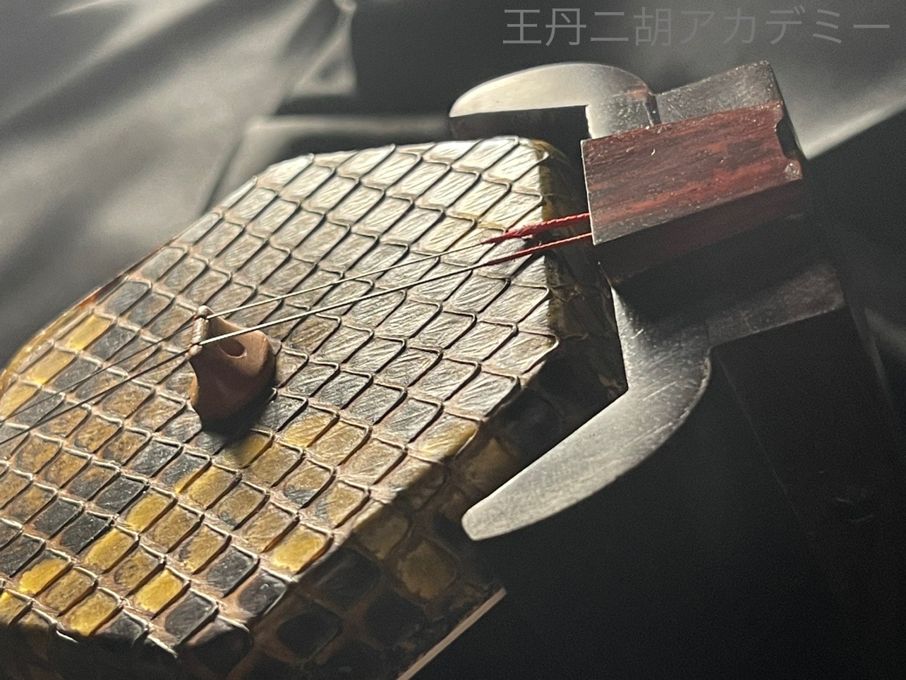 王丹二胡アカデミー Online Store / 龍韻くりぬき整筒野生錦蛇皮老紅木