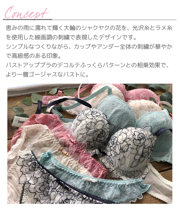 IBT356S｜アンテシュクレ intesucre narue×intesucre バストアップブラ