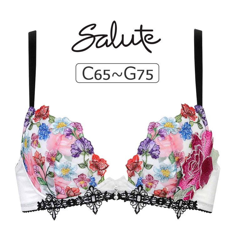 BTJ760｜ワコール サルート 60G ブラジャー単品 フロントエックス