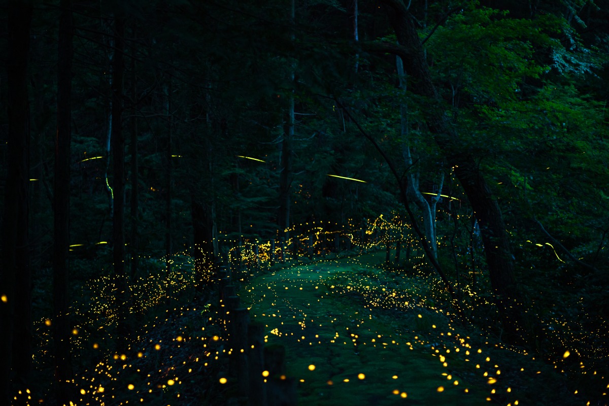 羅生門｜スポット｜岡山観光WEB【公式】- 岡山県の観光・旅行情報なら