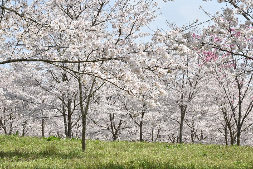 羅生門｜スポット｜岡山観光WEB【公式】- 岡山県の観光・旅行情報なら