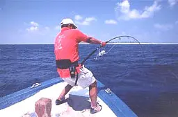 オフショアスティック GTK-74PG - 40,500円 : 海釣り、船釣り専門店の