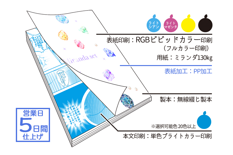 RGBビビッドカラー版】ミランダPPセット(本文単色ブライトカラー