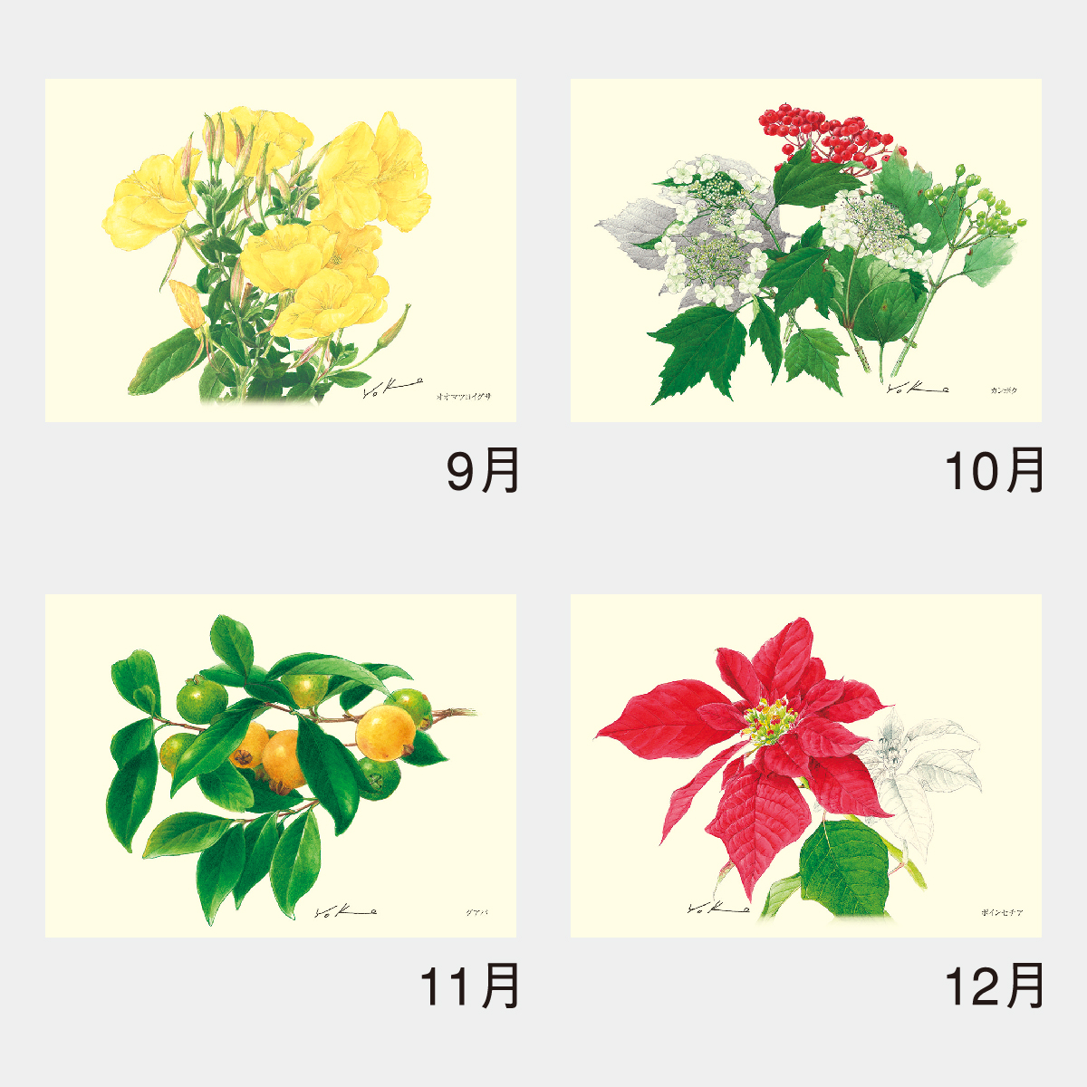 NK-64 ボタニカルアート2026年版の名入れカレンダーを格安で販売 - 名