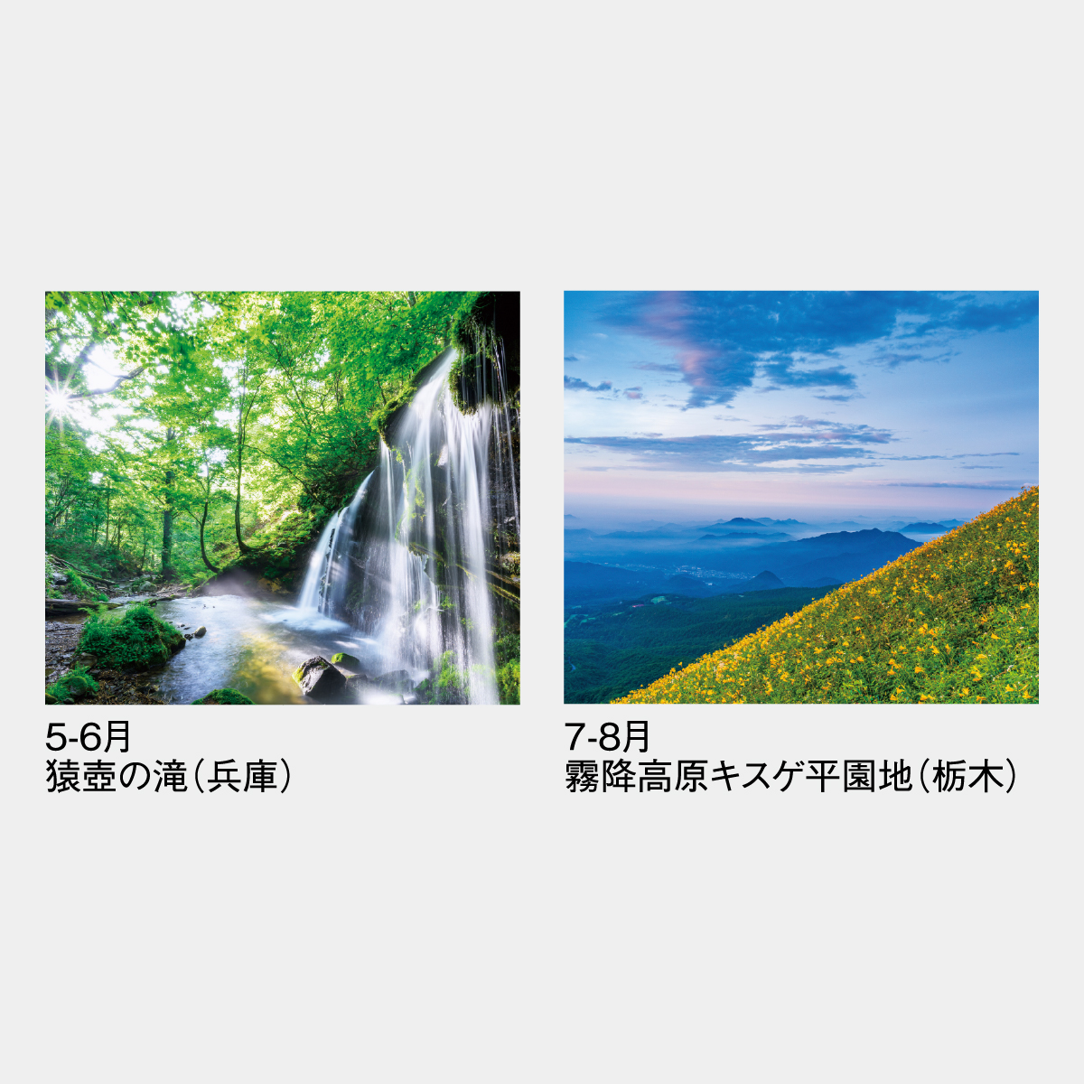 SG-403 四季六彩(大)2026年版の名入れカレンダーを格安で販売 - 名入れ