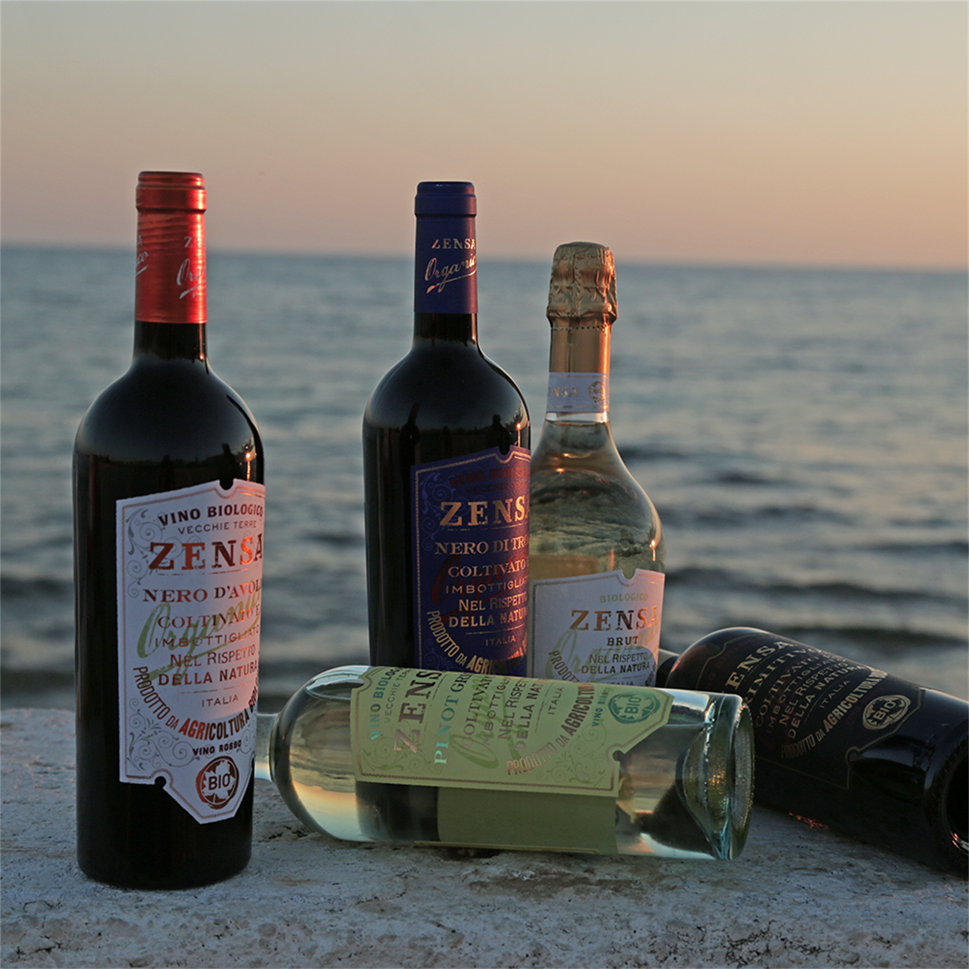 Orion Wines I Nero d'Avola Sicilia DOP Appassimento Organic