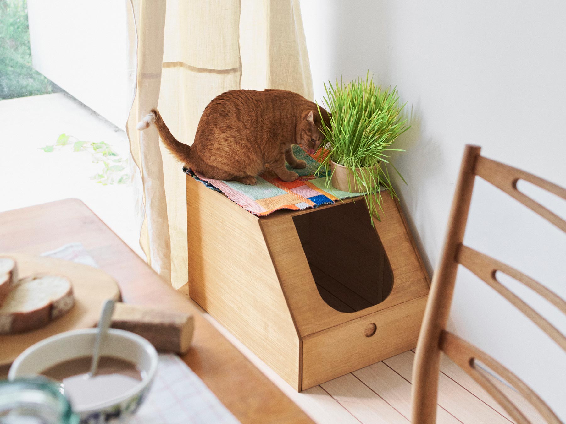 オルネコ 桐のトイレカバー｜オルネコ（爪とぎ・トイレ）｜オルネ ド