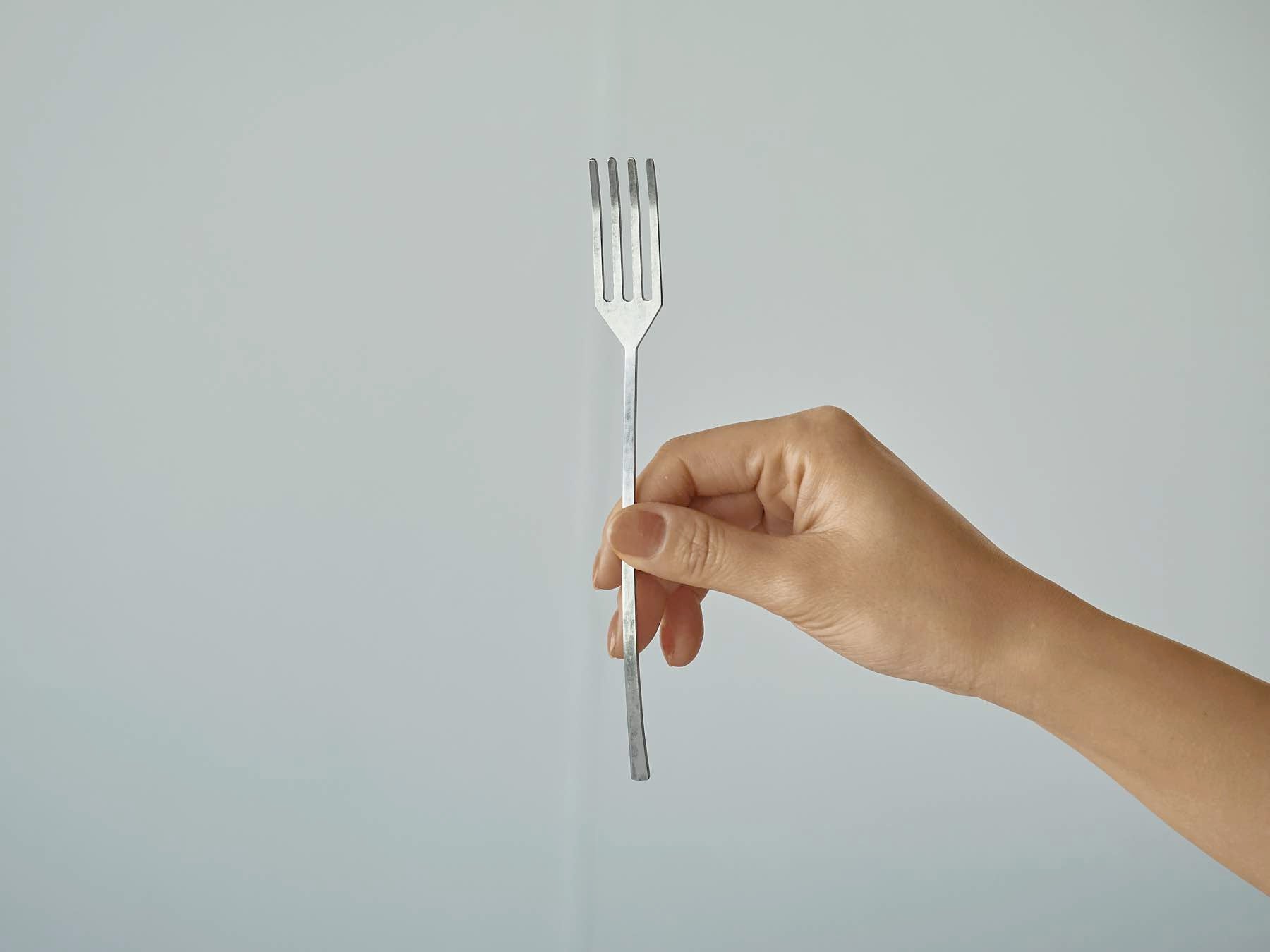 竹俣勇壱／スプーン L・フォーク L｜カトラリー｜オルネ ド フォイユ