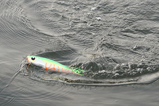 LONGIN FACTORY AIZU CaptainTokyo160