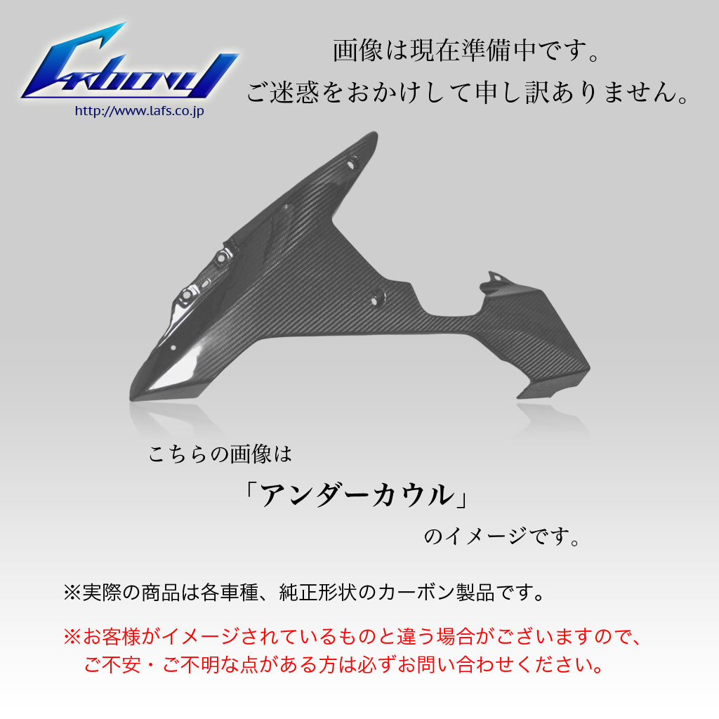 Carbony:カーボニー ZX-10R 06-07年用 ドライカーボン アンダーカウル