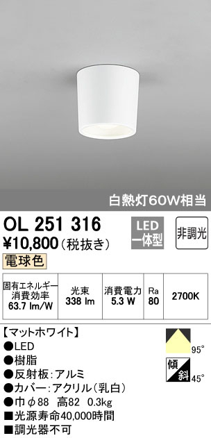 ODELIC オーデリック 小型シーリングライト OL251316 | 商品紹介