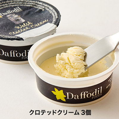 LUPICIA gourmand】スコーンおまとめ10個セットとクロテッドクリームの