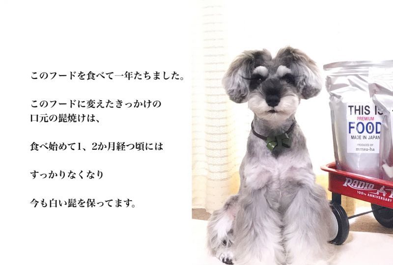 馬肉】シュナウザー・テリア専用 mmsu-haプレミアムドッグフード 1kg袋