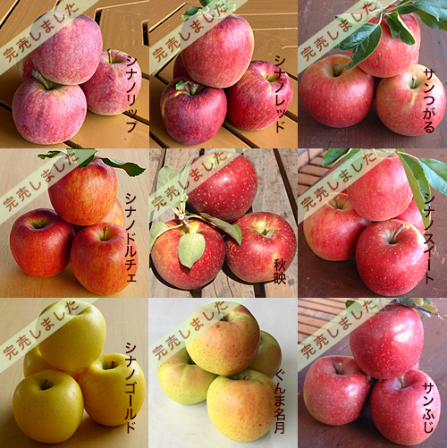 松井農園 - りんご特選品 3.5Kg箱入