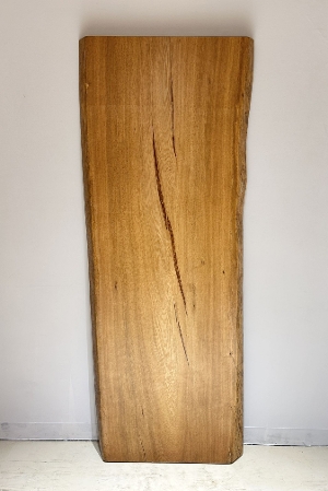 天然木 東京 新宿 東五軒町展示 モンキーポット材 一枚板 テーブル用天