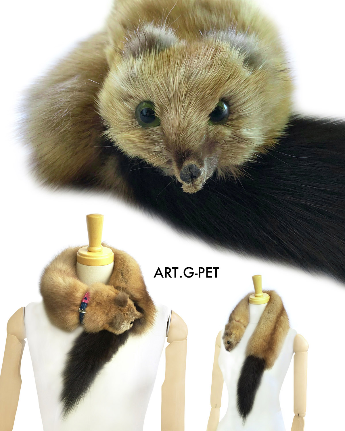 ゴールデンロシアンセーブルペット仕様マフラー | モーダdeマコス