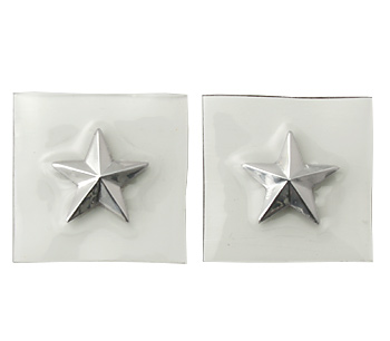 USAF(米空軍) 階級章 BR. GE.(准将) ヴィニールカバー・タイプ/ペア