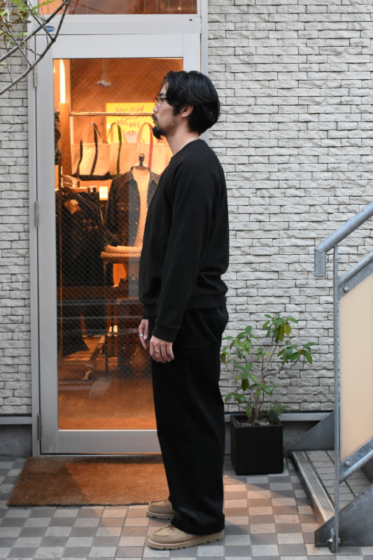 patagonia (パタゴニア) メンズ・マイクロ D・クルーネック [BLACK]