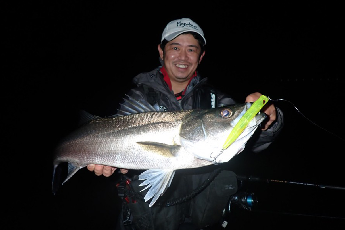 カゲロウMD発売 | Megabass-メガバス