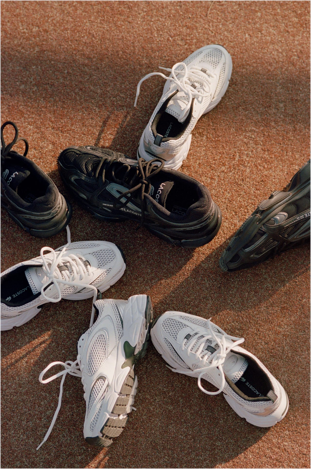 ラコステ」の人気スニーカーを限定カラーで！「アダム エ ロペ」が