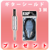 Roland(ローランド) ／ MICRO CUBE BASS RX MCB-RX [バッテリー駆動に