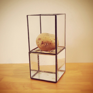 密買東京｜マッドな水耕栽培用容器｜商品詳細（Hydro - 1012|TERRA -）