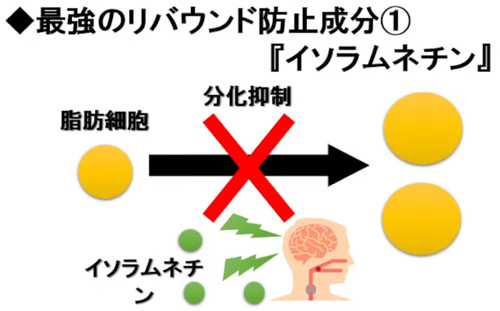 ノンFドラゴン | マッコイアイテム随一のミネラル量を誇る業務用