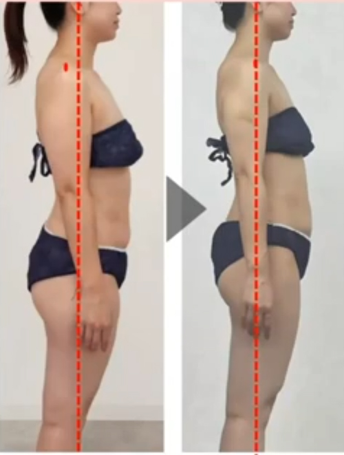 マッコイ| Dolcet ドルセット ボディメイクシャツ