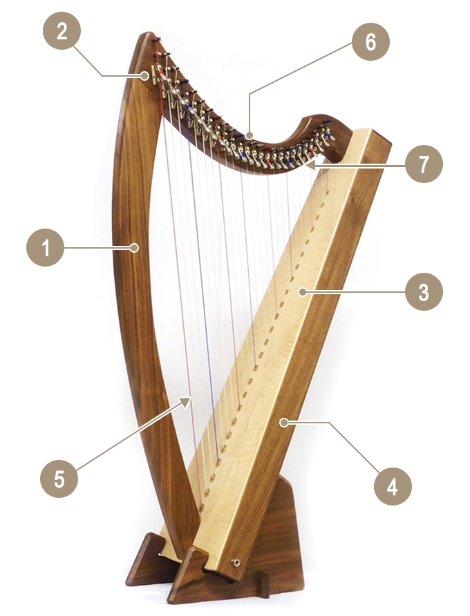 アイリッシュハープ | 宮地楽器小金井店ショールーム