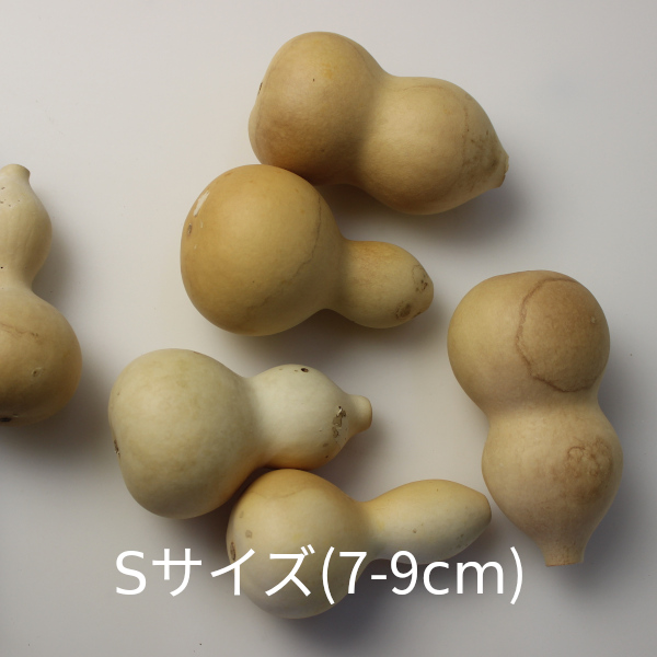 瓢箪・ひょうたん・ヒョウタン販売。乾燥した素材。ハワイアン