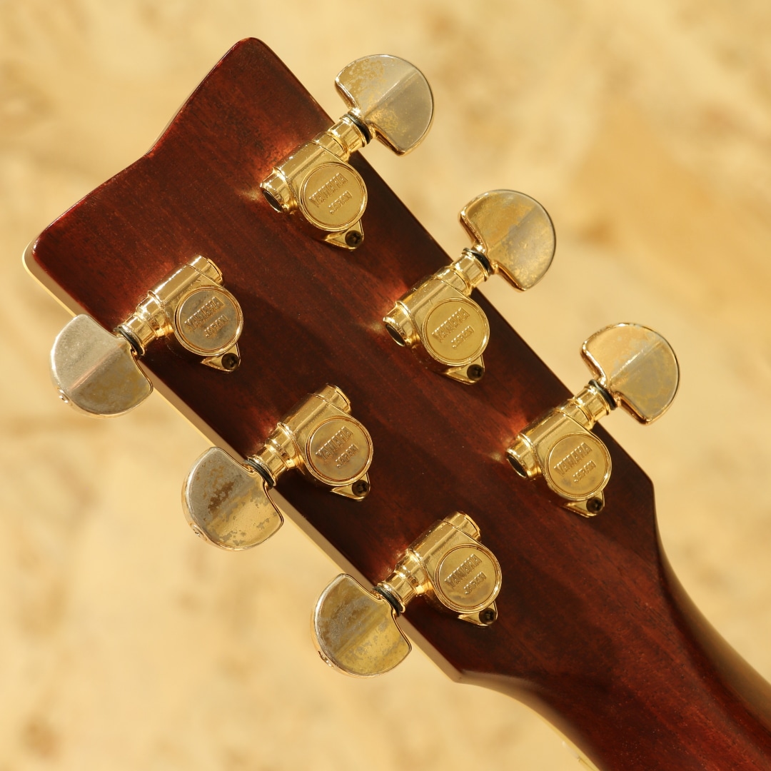 L-53 Custom Jacaranda 1980: アコースティックギター｜三木楽器公式