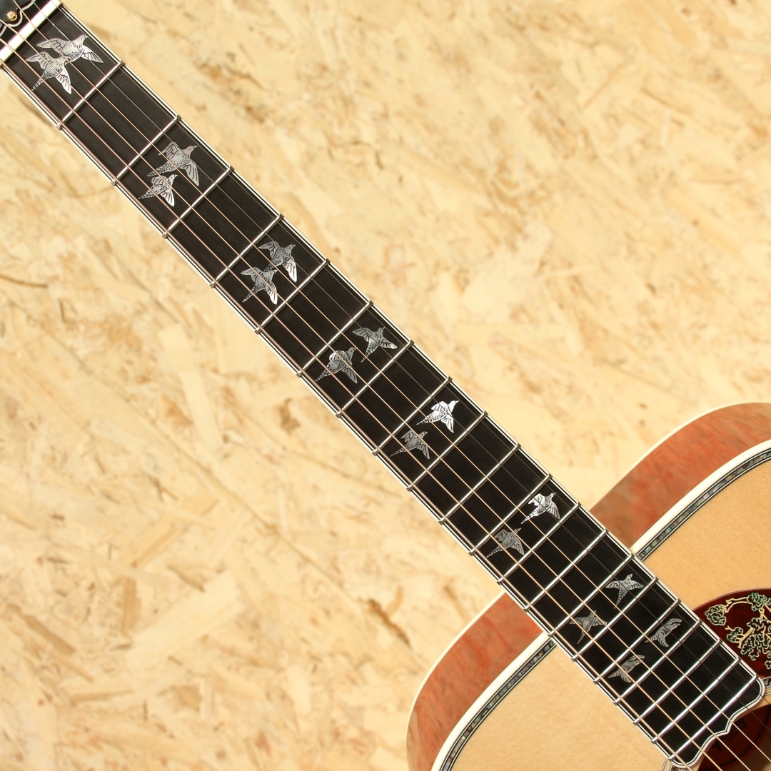 Doves In Flight: アコースティックギター｜三木楽器公式通販サイト